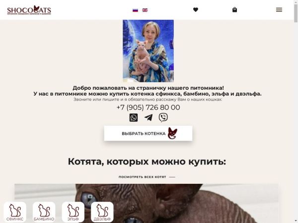 shococats.ru