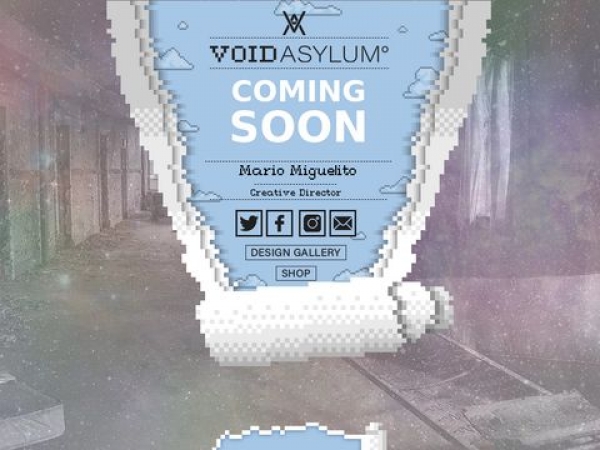 voidasylum.com